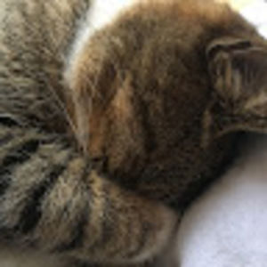 Meet your Posher, Marlene